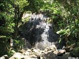 Bosque Nacional El Yunque - LUQUILLO